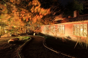 秋意濃の季節@福壽山