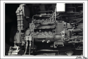 [NF1 + FD 85L ] 深澳電廠