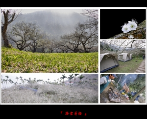 ☆風景☆烏松崙賞梅