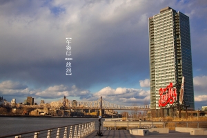 ::: Afternoon Wandering 午後は、放浪 by DV :::