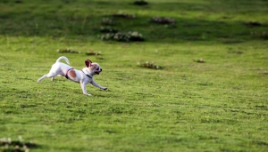華山藝文中心旁草園雜拍