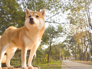 有了小孩，我還是愛你