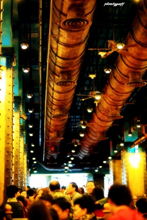 不一樣的海洋公園