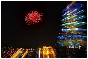 蓮池潭萬年季(二)