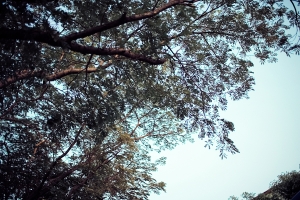 光之塔  ♥  韓咩