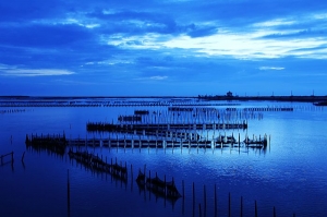 0522-台南七股潟湖