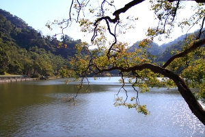 好久沒去走走的慈湖