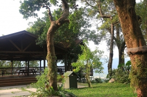 大溪-河岸童話森林 -by jyp.