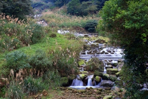 大河戀(五)汐平公路