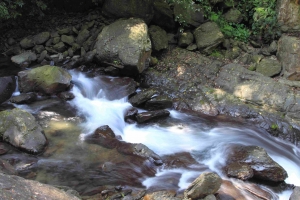 內洞遊  (新手發帖  傷眼勿怪