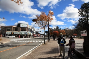 2010 日本關東賞楓