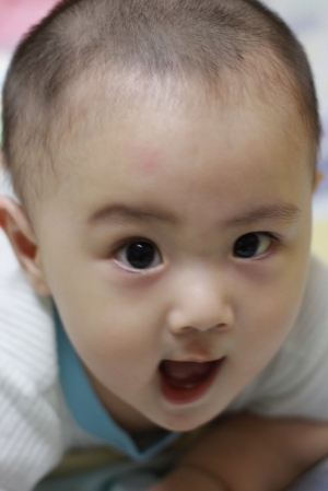 六月份的精華照片...