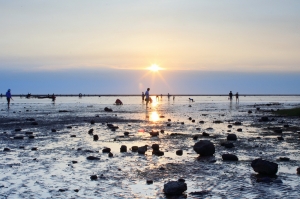 香山濕地夕色