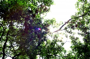 一張流 出門辦事沒空也要拍一張