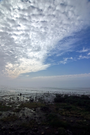 新竹濱海公路沿岸