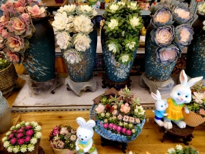 手機拍花市Ⅲ — — 多肉