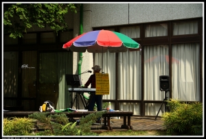 漫步校園