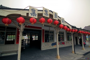 南投集集、車埕、水舍&朝霧碼頭行 (27P)