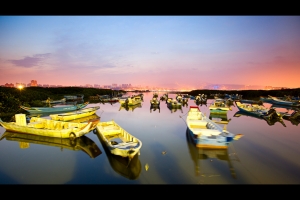 今日挖仔尾晨光