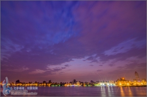 忠孝碼頭．羽雲飛舞