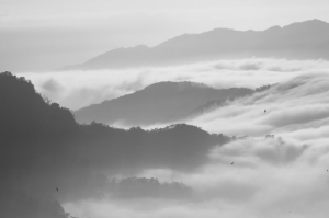三義雲海&nbsp;&nbsp;黑白一張