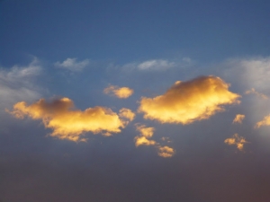 GOLDEN CLOUD