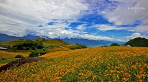 這是在藍瑪都肆虐下的 60石山....by  t大