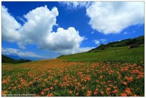 2009~六十石山忘憂之旅