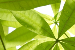 a......沒主題就單純騙分數... cc