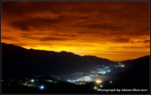 久違的波斯花海@毒魔兔