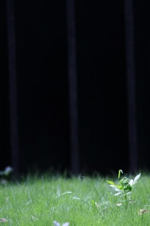 阿儒-攝影鐵人參賽作品分享