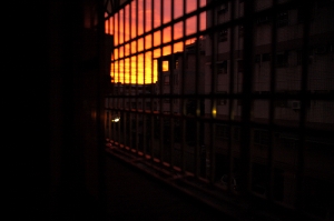 今天的黃昏真美