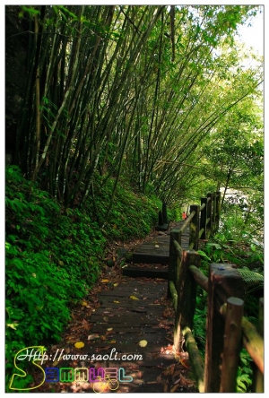 蓬萊溪護魚步道(假日旅遊好去處)