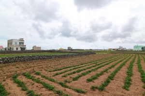 10005澎湖南北趴趴走part1