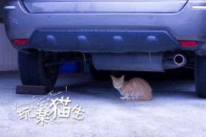 毛小孩 - 美濃食客群