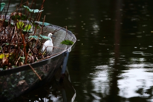 鐵人101難忘煙火秀+雜拍
