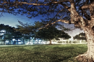 中央大學夜拍(一張流)