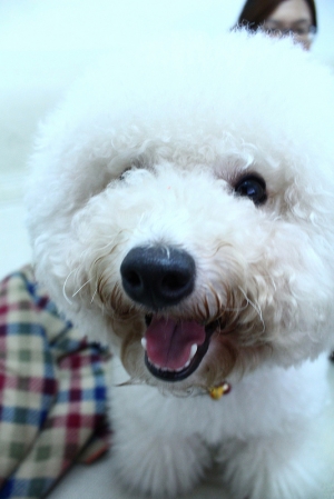 家中成員【QQ】