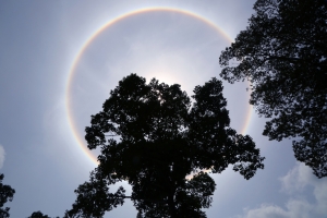 吳哥窟(日光暈)