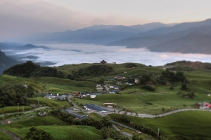 花蓮六十石山-金針的故鄉