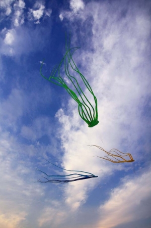 南寮漁港，風箏滿天飛