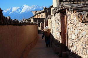 給老朋友問好啦--by riken