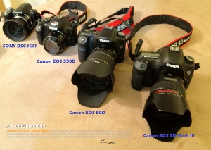 我的相機成長記...(5字輩+S家啟蒙好機)