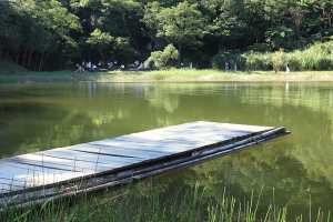 新山夢湖隨拍