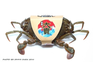 冬令進補~~700公克特級沙蟹--BY 好攝客