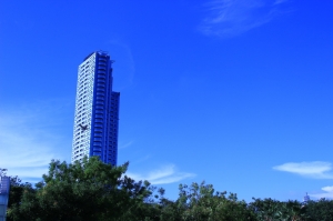 就兩張～IN 中央公園