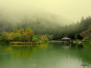 Fickr 圖床試貼  明池一張