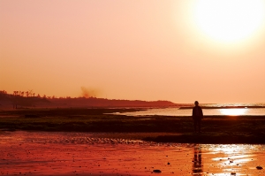 2011 Landscape Photography No.1