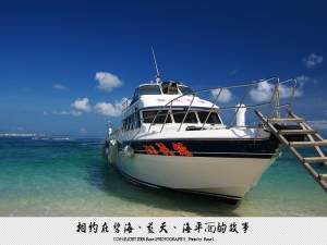 又見菊島~戀戀鳥嶼