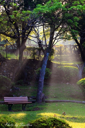 陽明山前山公園-阿生